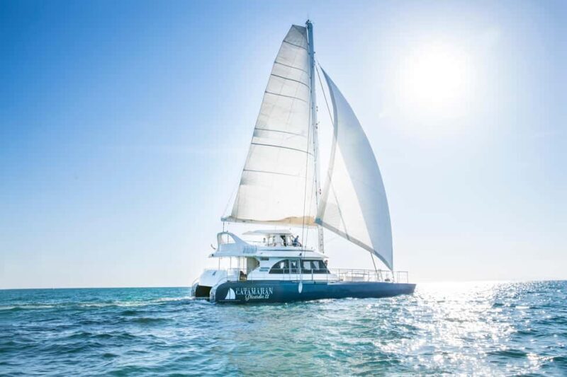 Le Grau-du-Roi : Sailing catamaran tour along the coasts - Intro: A Serene Sea Escape with a Touch of Adventure