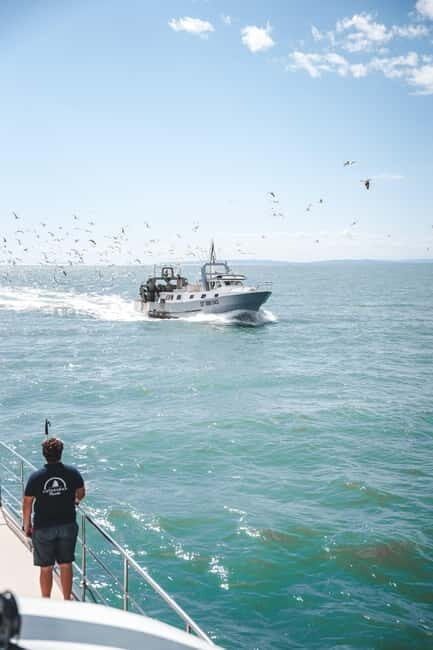 Le Grau-du-Roi - Sea trip to meet the fishing trawlers - FAQ