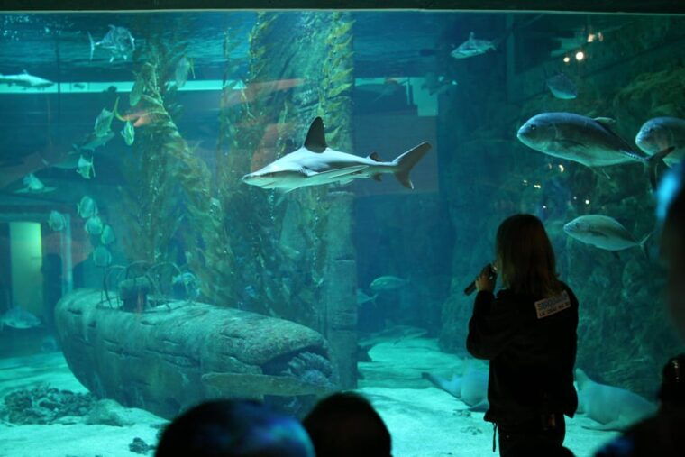Le Grau-du-Roi: Seaquarium Skip-the-Line Entrance Ticket - New Exhibition: Plastic Invasion