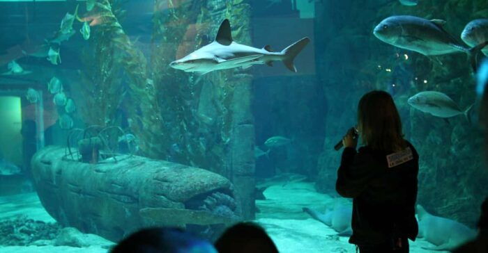 Le Grau-du-Roi: Seaquarium Skip-the-Line Entrance Ticket - Getting There