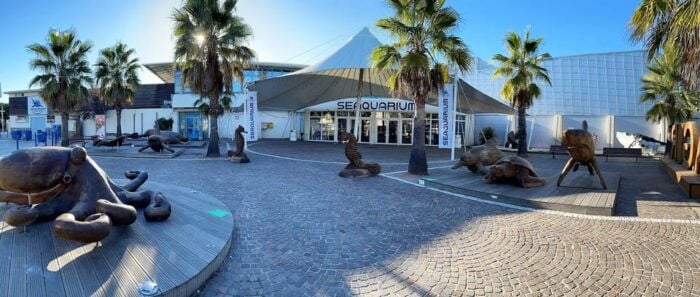 Le Grau-du-Roi: Seaquarium Skip-the-Line Entrance Ticket - Know Before You Go