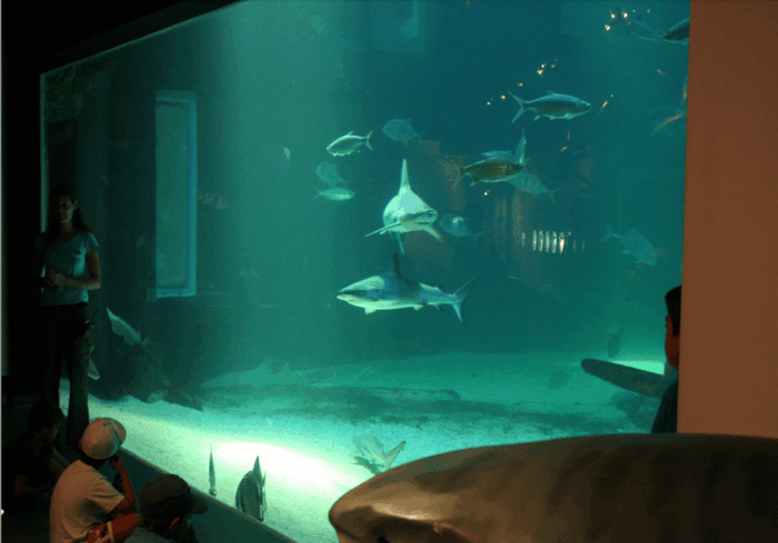 Le Grau-du-Roi: Seaquarium Skip-the-Line Entrance Ticket - Frequently Asked Questions