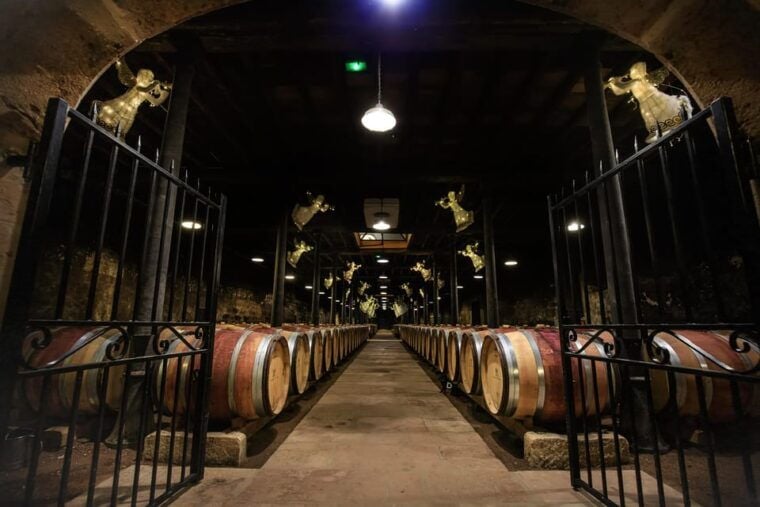 Le Hameau Duboeuf: The 1st Vine and Wine Theme Park Tour - Journey Through 2,000 Years of Vineyard and Wine History