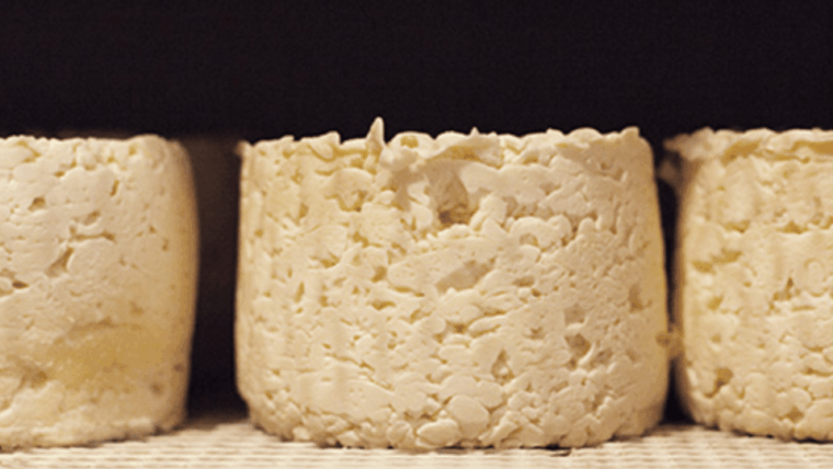 Le Mans Gourmet Food Walking Tour Discover Sarthes Flavors - Visiting the Butcher Shop