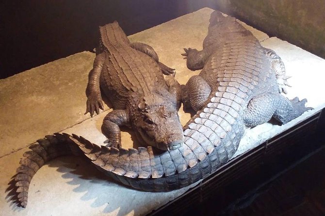 Le Mat Snake Village Tour With Snake Tasting - Cancellation Policy and Refunds