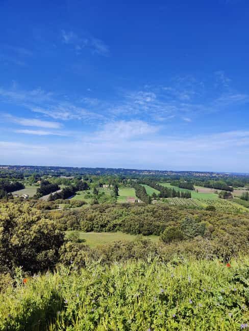 Le Thor, Châteauneuf De Gadagne, St-Saturnin Les Avignon by electric bike - What to Expect from the Tour