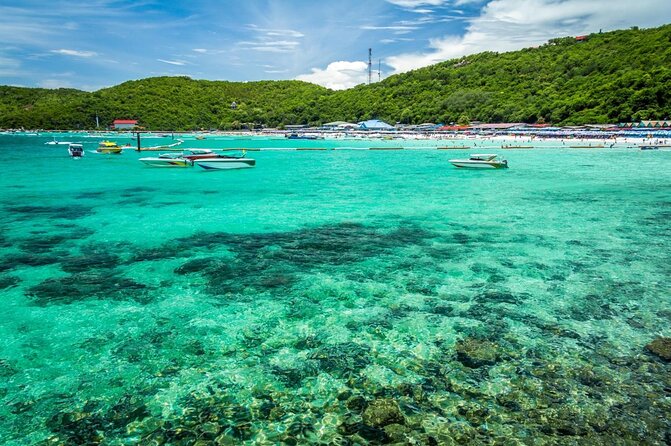 Leamchabang Pattaya & Koh Larn Island Full-Day Private Tour LP5 - Tour Details