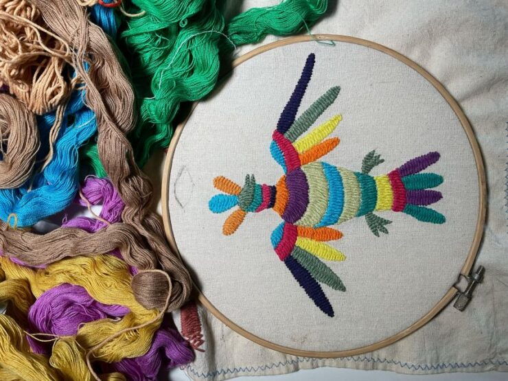Learn About Otomí Embroidery - Merida, Yucatan - Experience Highlights and Inclusions