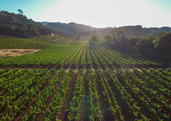 Learn All About Crete in One Tour Private Guided Tour - The Sum Up