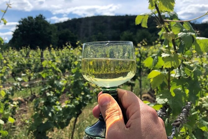 Learn French Naturally With Our Normandy & Paris Impressionist Tour for Adults. - Whats Included