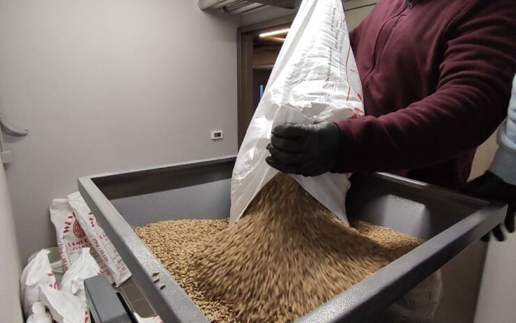 Learn How to Brew Your Own Beer at Ftelos Brewery Santorini - Booking and Cancellation Policies