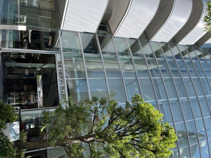 Learn & Order: Your Japanese Experience in Osaka - Activity Details and Options