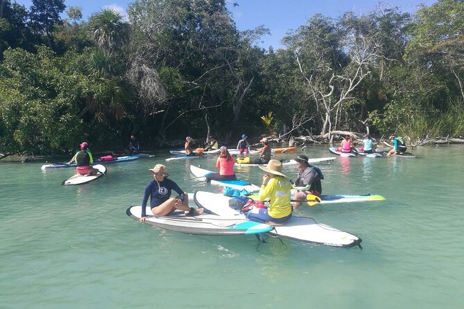 Learn Paddle Board and Get to Know the Mangroves of Progreso - Safety Tips for Paddle Boarding in Progreso