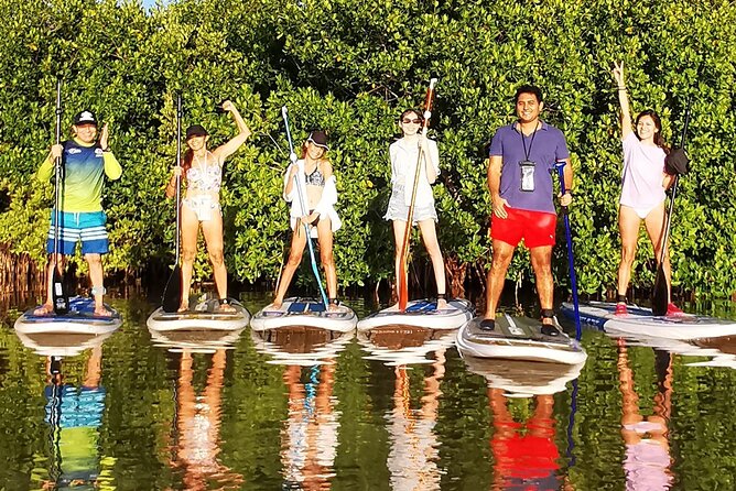 Learn Paddle Board and Get to Know the Mangroves of Progreso - The Sum Up