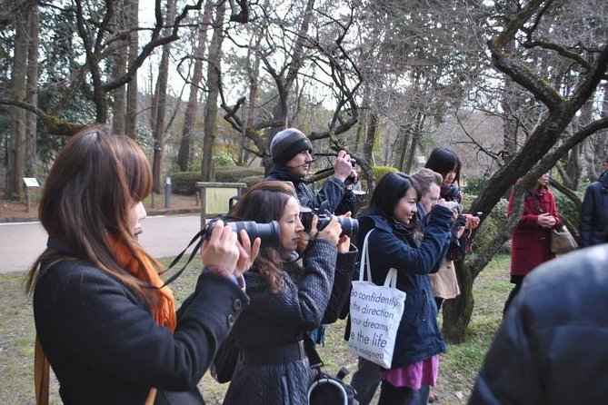 Learn Photography in Kyoto - Recommended Photography Spots