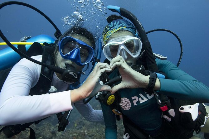 Learn Scuba Diving in Tenerife With Photos Included - Background Information