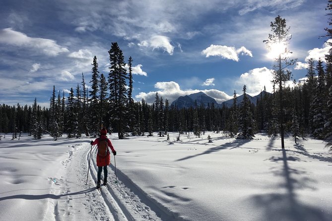 Learn to Cross Country Ski in Lake Louise - Overview of Cross Country Ski Lessons