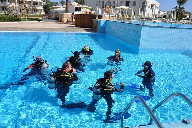 Learn to Dive PADI Open Water Diver Course - Course Overview