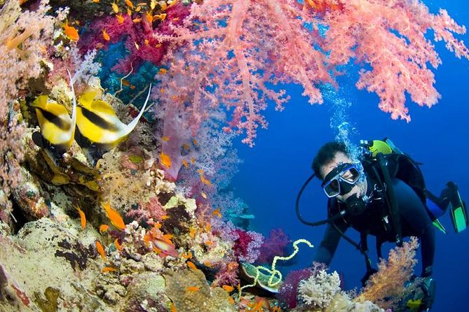 Learn to Dive PADI Open Water Diver Course - Ocean Dives