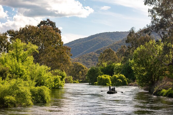 Learn to Fly Fish on the Tumut River Guided Fly Fishing Tour - Fly Fishing Techniques and Tips