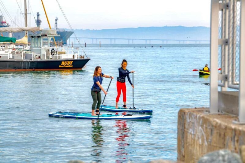Learn to Paddle Board on the San Francisco Bay! - Who Should Consider This Tour?