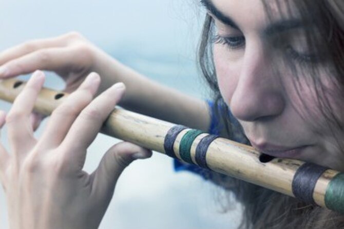 Learn to Play a Traditional Indian Instrument in Varanasi! - Instrument Selection