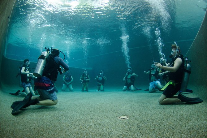Learn To Scuba Dive: 4 Day Great Barrier Reef PADI Open Water Course Day Trips - Course Details and Overview