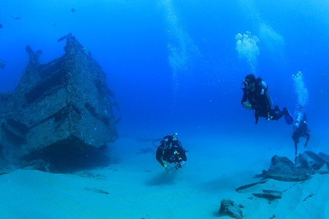 Learn to Scuba Dive in Cabo San Lucas with PADI - Good To Know