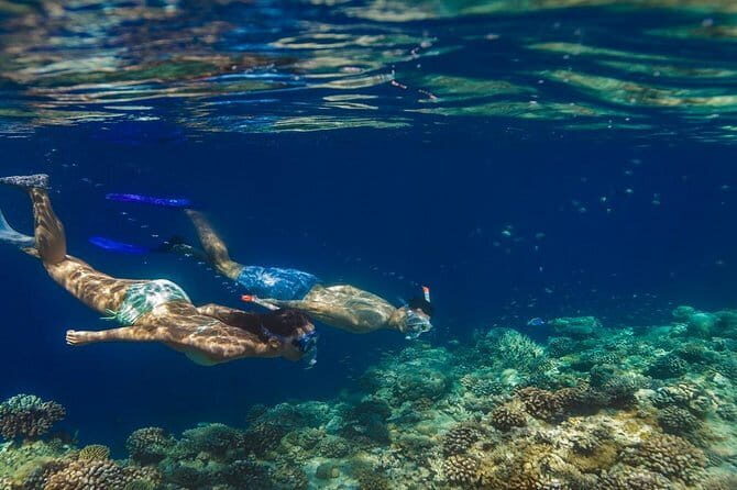 Learn to surf with Fuvahmulah Surf School - FAQ