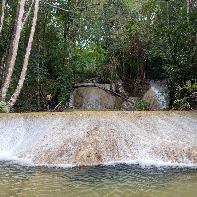 Learning the Private Lifestyle of the Forest People. - Forest People: Who Are They?