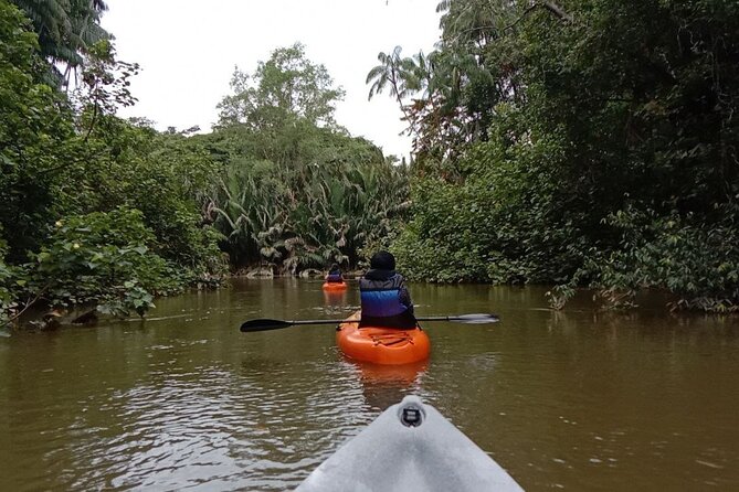 Lebam River Kayaking Adventure - Price and Booking