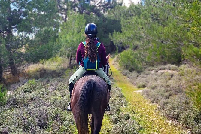 Lebanon Mountains Horseback Riding From Beirut - Services Provided