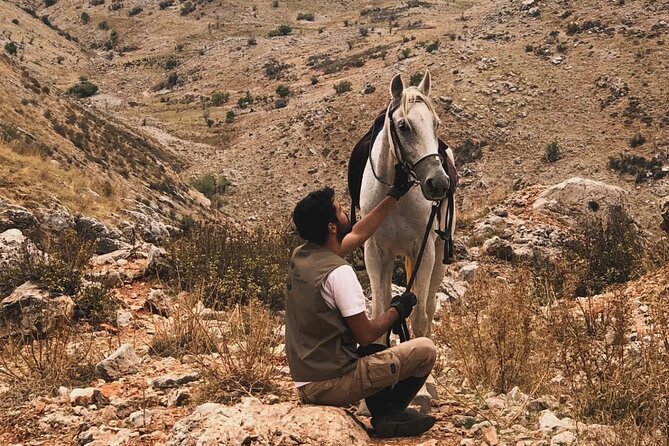 Lebanon Mountains Horseback Riding From Beirut - Pricing Information