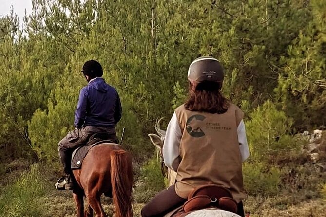 Lebanon Mountains Horseback Riding From Beirut - Directions and Safety Instructions