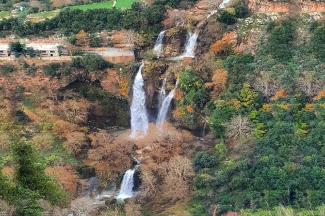 Lebanon Waterfalls Tour - Reviews