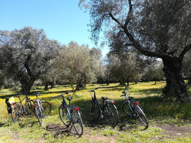 Lecce: Bike Rental (City, Trekking, E-Bikes) - Frequently Asked Questions