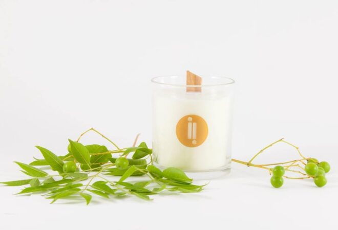Lecce: Candle Making in 18th Century Countryside Set - Activity Highlights