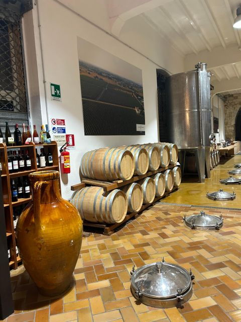 Lecce: E-Bike Tour to Galatina With Olive Mill & Wine Taste - Good To Know
