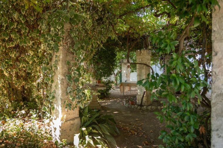 Lecce: Golden Vine Escape - Sunset Picnic & Wine Tasting - Picnic Inclusions