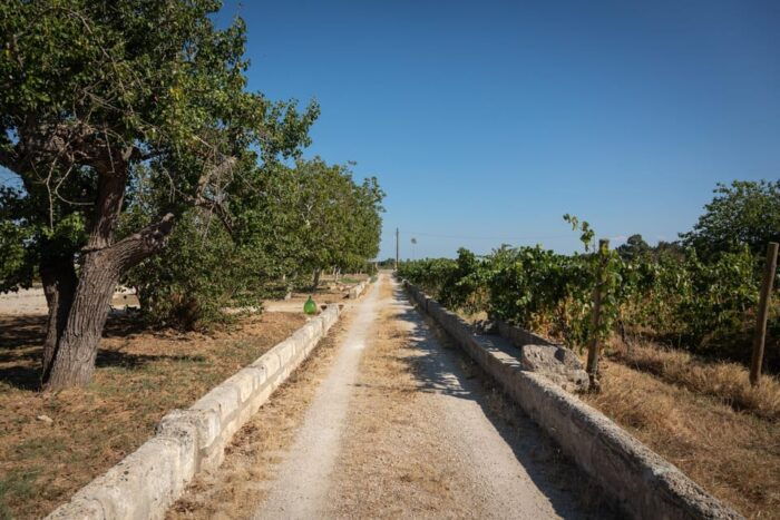 Lecce: Golden Vine Escape - Sunset Picnic & Wine Tasting - What to Bring