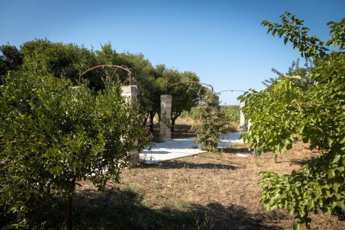 Lecce: Golden Vine Escape - Sunset Picnic & Wine Tasting - Enjoy the Tranquility of Salento