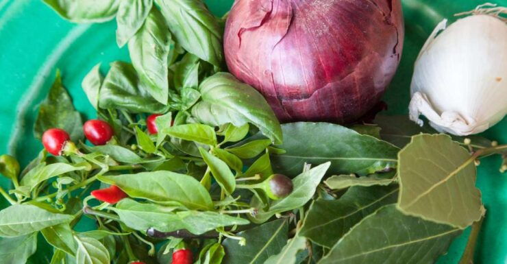 Lecce: Market Tour and Private Home Cooking Class - Good To Know