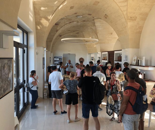 Lecce: Oil Mill Tour, Olive Oil Tasting & Typical Products - Detailed Itinerary