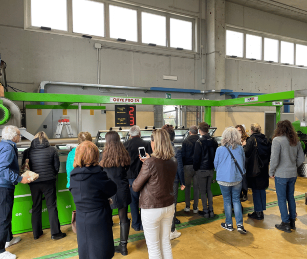 Lecce: Oil Mill Tour, Olive Oil Tasting & Typical Products - Tasting Experience