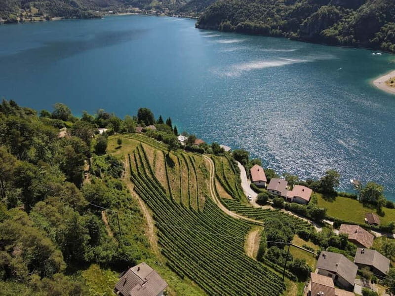 Ledro Lake: Guided Tour & Wine Tasting Among the Vines - Exploring the Ledro Lake Vineyard Experience
