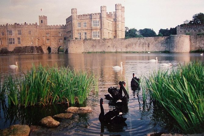 Leeds Castle, Canterbury and White Cliffs of Dover Private Car Tour - Additional Information