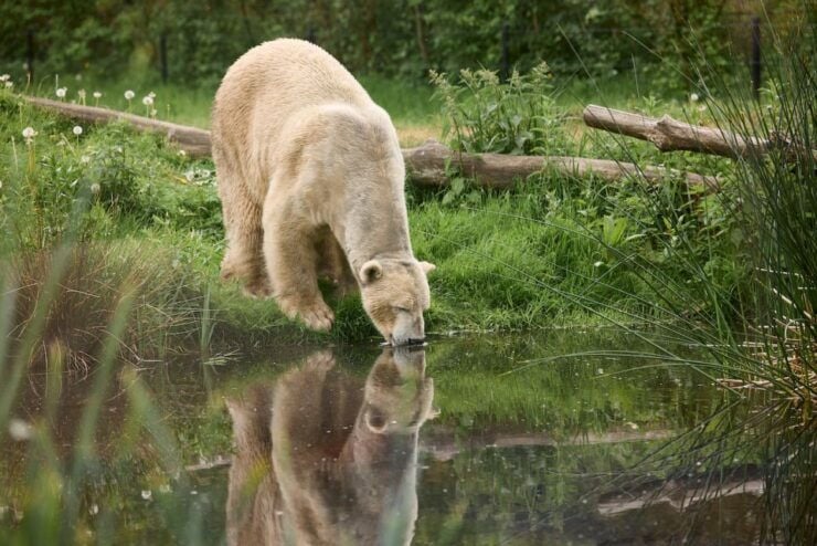 Leewarden: AquaZoo Entry Ticket - Ticket Details