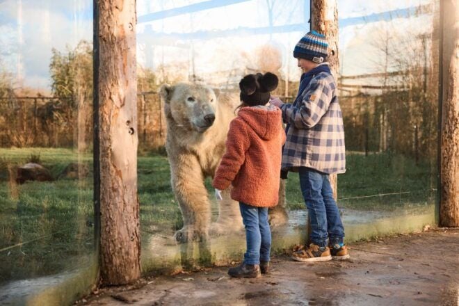 Leewarden: AquaZoo Entry Ticket - Customer Review