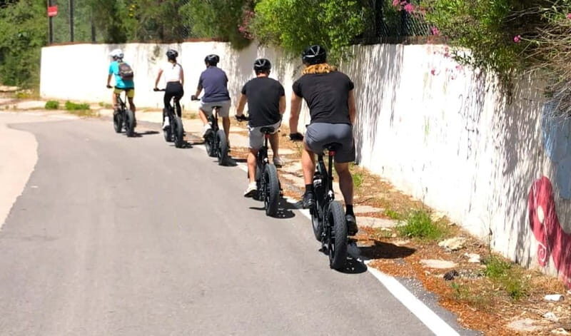 Lefkada: Mountain Gems Electric Fat Bicycle Tour & Tasting - Practical Details and Considerations