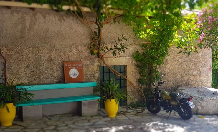 Lefkada: Olive Museum Fabbrica Ticket and Guided Tour - Highlights